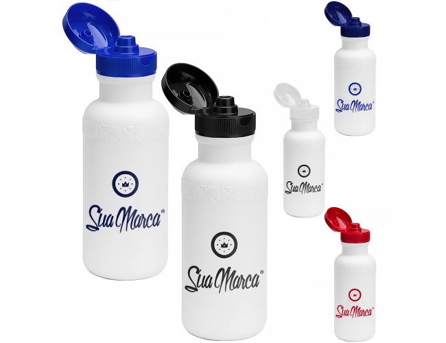 Squeeze Personalizado Com Tampa Flip 500ml GV046